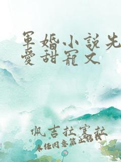 军婚小说先婚后爱甜宠文