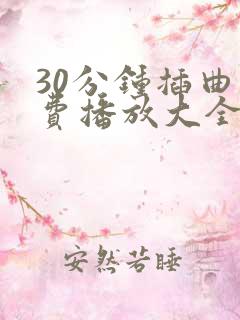 30分钟插曲免费播放大全视频