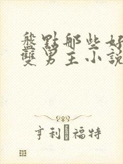 盘点那些好看的双男主小说