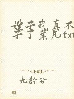 嫂子我真不是傻子了叶凡txt免费完整版