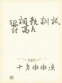 sp调教训诫惩罚高h