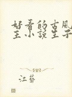 好看的古风双男主小说生子