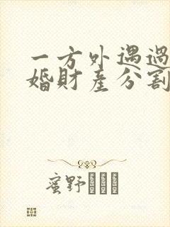 一方外遇过错离婚财产分割