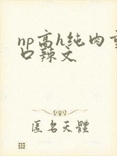 np高h纯肉重口辣文
