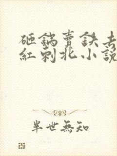 砸锅卖铁去上学红刺北小说免费读