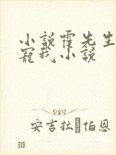 小说霍先生乖乖宠我小说