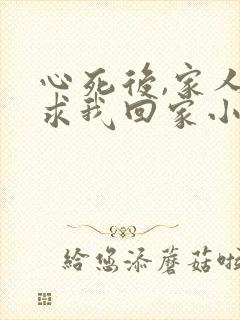 心死后,家人跪求我回家小说