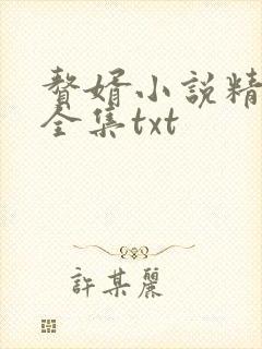 赘婿小说精校版全集txt
