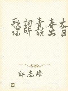 歌词青春大概如你所说出自什么歌