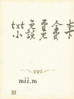 txt免费全本小说免费下载网