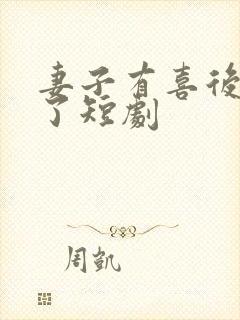 妻子有喜后我懵了短剧