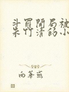 斗罗开局被俘获朱竹清的小说