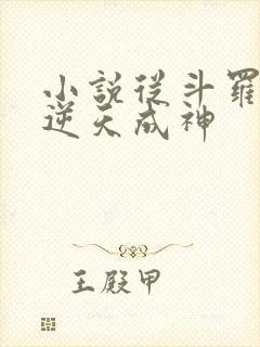 小说从斗罗开始逆天成神