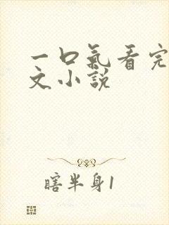 一口气看完的甜文小说