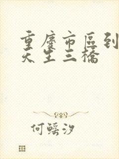 重庆市区到武隆天生三桥