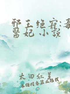 邪王绝宠:毒手医妃 小说