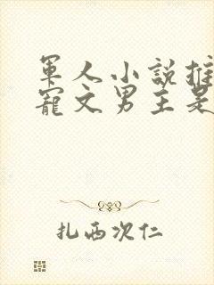 军人小说推荐甜宠文男主是军人