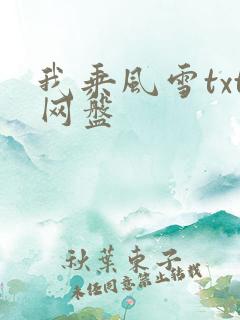 我乘风雪txt网盘