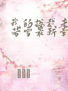 我的总裁老婆林若雪最新章节内容