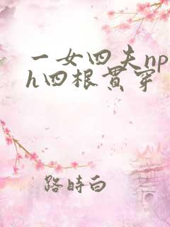 一女四夫np高h四根贯穿
