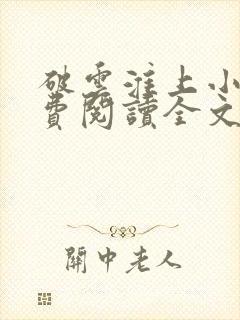 破云淮上小说免费阅读全文作者