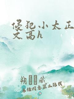 侵犯小太正肉车文高h