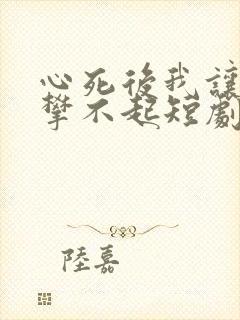 心死后我让他高攀不起短剧