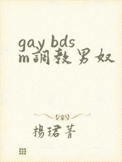gay bdsm调教男奴