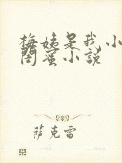 梅姨是我小妈的闺蜜小说