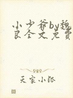 小少爷by魏丛良全文免费阅读