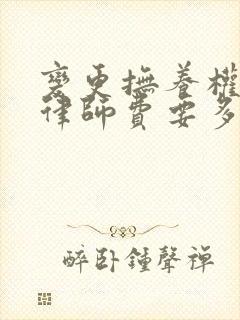 变更抚养权官司律师费要多少