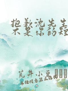 抱歉沈先生孩子不是你的短剧在线观看