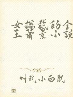 女总裁的全能兵王萧晨小说txt全文免费下载