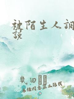 被陌生人调教小说