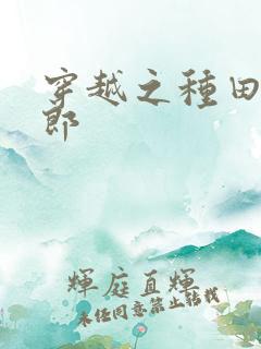 穿越之种田恶夫郎