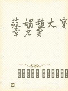 苏媚赵大宝第六章免费