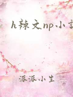 h辣文np小说