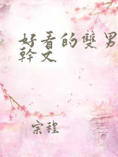 好看的双男主高干文