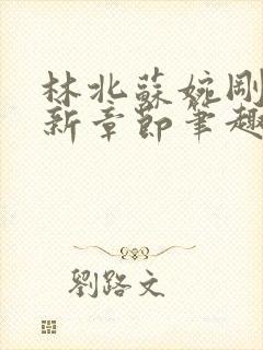 林北苏婉刚刚更新章节笔趣阁