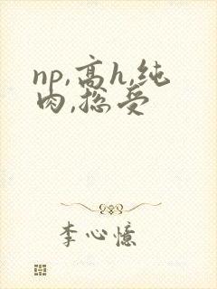 np,高h,纯肉,总受