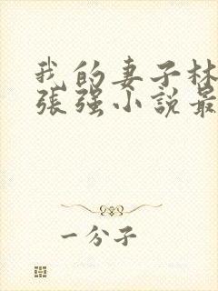 我的妻子林慧茹张强小说最新章节阅读