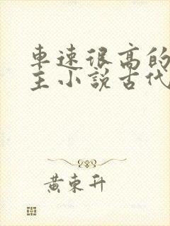 车速很高的双男主小说古代