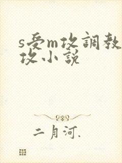 s受m攻调教虐攻小说