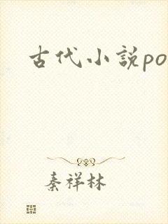 古代小说po文