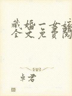 藏婚一女嫁多夫全文免费阅读正版