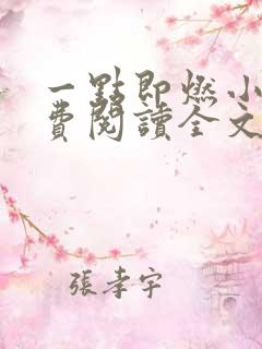 一点即燃小说免费阅读全文无弹窗