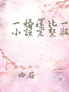 一婚还比一婚高小说完整版