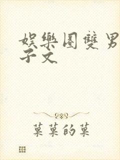 娱乐圈双男主生子文