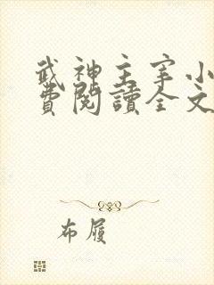武神主宰小说免费阅读全文无弹窗