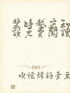 裴时越宋知宜小说免费阅读无弹窗